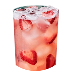 Refreshers